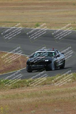 media/May-04-2024-Lucky Dog Racing (Sat) [[d39539b3f3]]/Race Pics/1015am (Turn 2)/